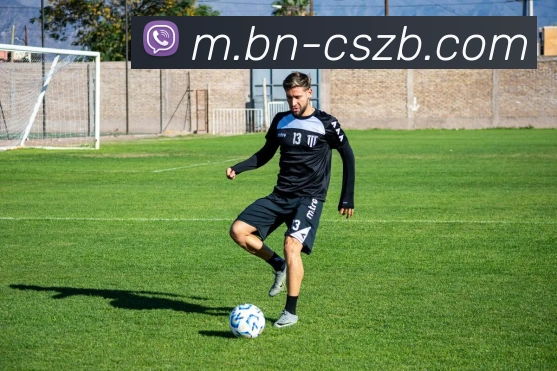 辅助工具 辅助工具